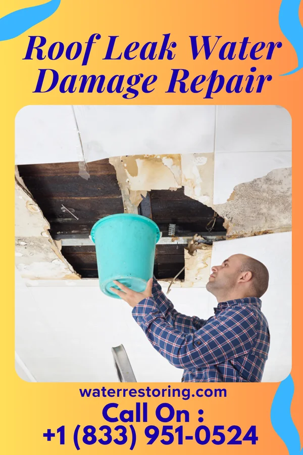 Roof Leak Water Damage Repair in Walla Walla, WA
